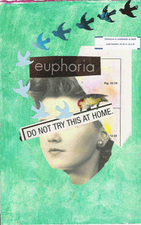 Euphoria by Dianne Forrest Trautmann from VG6